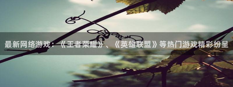 辉达娱乐平台官网登录：最新网络游戏：《王者荣耀》、《英雄联盟