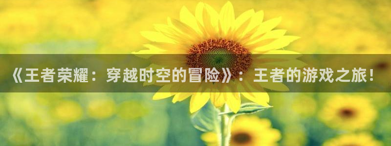 辉达娱乐注册测速：《王者荣耀：穿越时空的冒险》：王者的游戏之