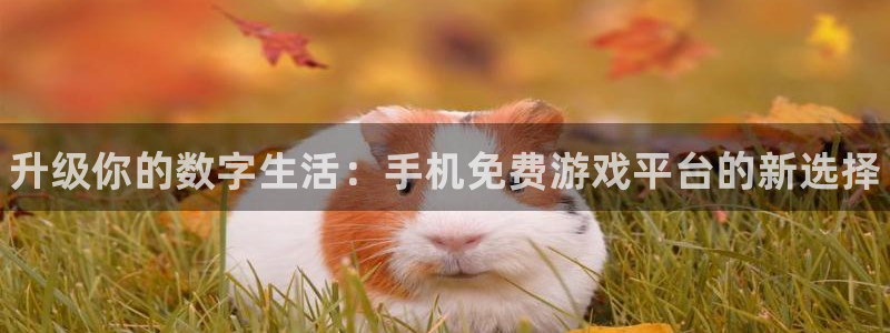 辉达娱乐平台负责人：升级你的数字生活：手机免费游戏平台的新选