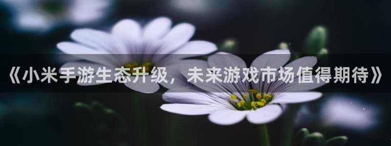 辉达娱乐升级5994月