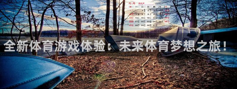 辉达娱乐注册开户：全新体育游戏体验：未来体育梦想之旅！
