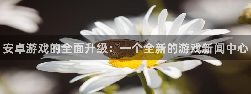 辉达娱乐4开户