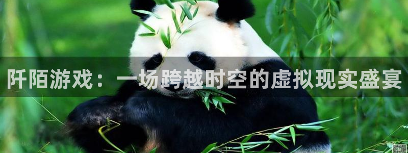 辉达娱乐测速
