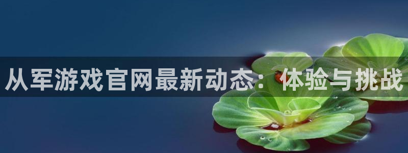 辉达娱乐平台登陆