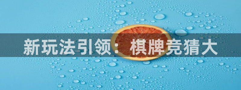 辉达娱乐网址注册：新玩法引领：棋牌竞猜大