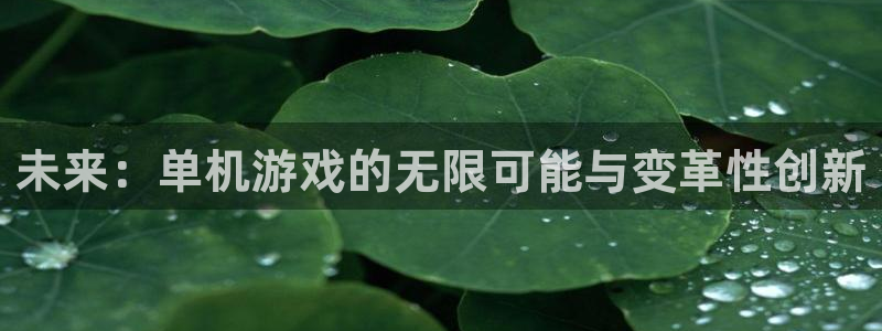 辉达娱乐网页登录入口下载：未来：单机游戏的无限可能与变革性创