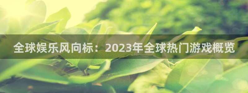 辉达娱乐注册服务条款：全球娱乐风向标：2023年全球热门游戏