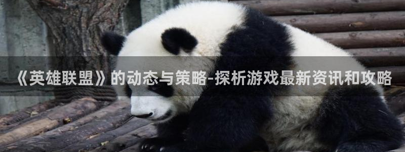 辉达娱乐2首页登录