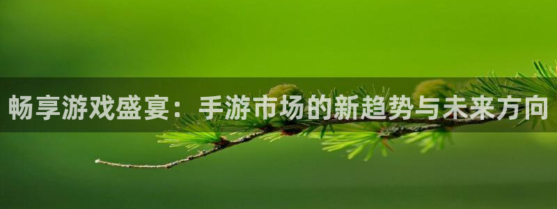 辉达娱乐在线登录：畅享游戏盛宴：手游市场的新趋势与未来方向