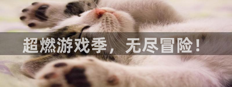 辉达娱乐平台官网登录：超燃游戏季，无尽冒险！